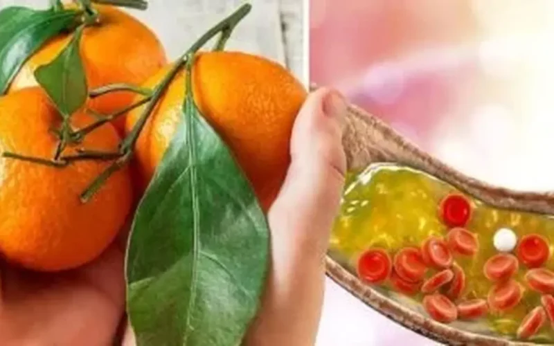 تراجع الأسعار 20 جنيهاً اليوسفي في أسواق الأقصر السبت